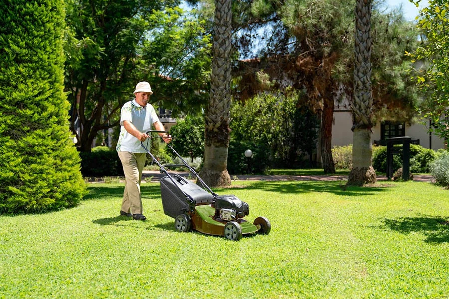 small electric lawnmowers